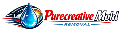Purecreative Mold Removal